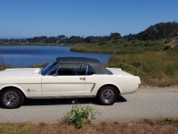 1965 Ford Mustang for sale in Michigan (ID-120891)