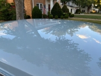 1965 Ford Mustang for sale in Michigan (ID-121053)