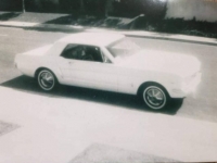 1965 Ford Mustang for sale in Michigan (ID-121394)