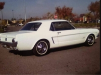 1965 Ford Mustang for sale in Michigan (ID-121394)