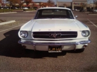 1965 Ford Mustang for sale in Michigan (ID-121394)