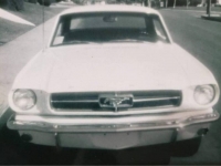 1965 Ford Mustang for sale in Michigan (ID-121394)
