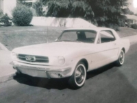 1965 Ford Mustang for sale in Michigan (ID-121394)