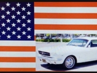1965 Ford Mustang for sale in Michigan (ID-121394)