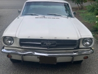 1965 Ford Mustang for sale in Michigan (ID-121709)