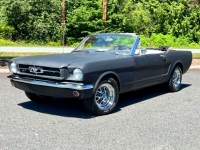 1965 Ford Mustang for sale in Michigan (ID-122217)