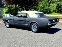 1965 Ford Mustang for sale in Michigan (ID-122217)