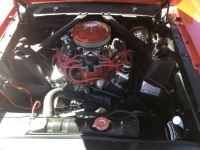 1965 Ford Mustang for sale in Michigan (ID-122504)