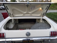 1965 Ford Mustang for sale in Michigan (ID-122782)