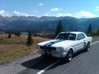 1965 Ford Mustang for sale in Michigan (ID-123382)