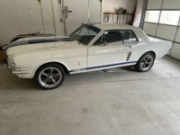 1965 Ford Mustang for sale in Michigan (ID-123382)