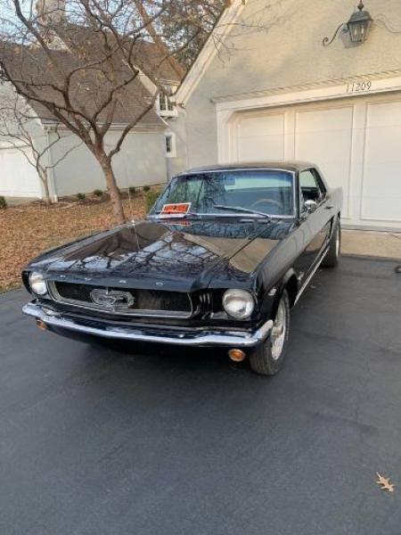 1965 Ford Mustang for sale in Michigan (ID-124070)