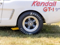 1965 Ford Mustang for sale in Michigan (ID-124673)