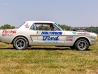 1965 Ford Mustang for sale in Michigan (ID-124673)