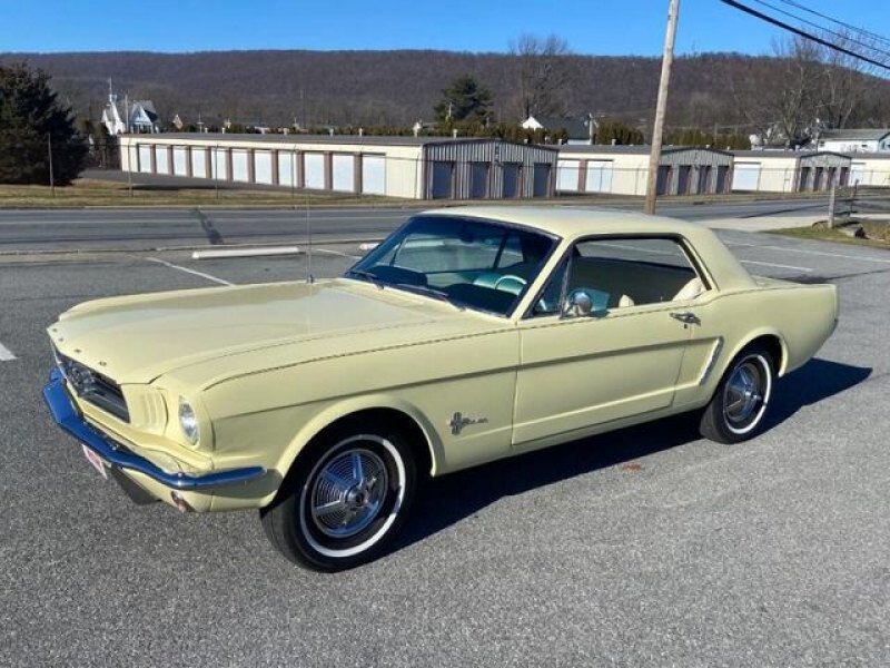 1965 Ford Mustang for sale in Riverhead, New York (ID-124700) 1965 Ford Mustang for sale in Riverhead, New York (ID-124700)