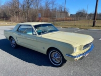 1965 Ford Mustang for sale in Riverhead, New York (ID-124700)