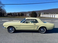 1965 Ford Mustang for sale in Riverhead, New York (ID-124700)