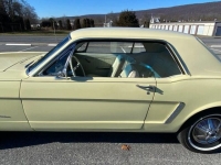 1965 Ford Mustang for sale in Riverhead, New York (ID-124700)