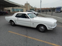 1965 Ford Mustang for sale in Michigan (ID-125184)