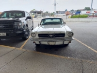 1965 Ford Mustang for sale in Michigan (ID-125184)