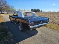 1965 Ford Mustang for sale in Michigan (ID-125188)