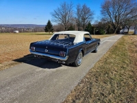 1965 Ford Mustang for sale in Michigan (ID-125188)