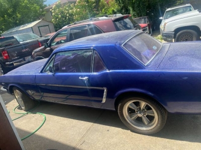 1965 Ford Mustang for sale