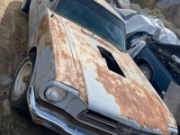 1965 Ford Mustang for sale in Michigan (ID-126120)