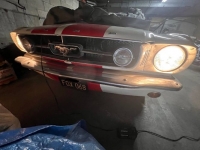 1965 Ford Mustang for sale in Michigan (ID-126272)