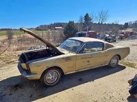 1965 Ford Mustang for sale in Michigan (ID-126651)