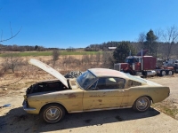 1965 Ford Mustang for sale in Michigan (ID-126651)