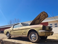 1965 Ford Mustang for sale in Michigan (ID-126651)