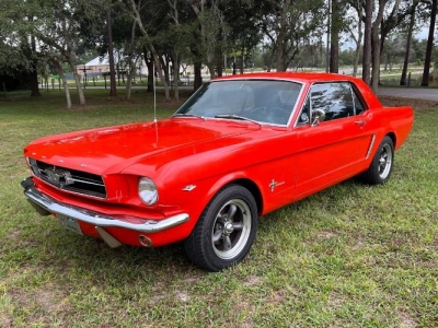 1965 Ford Mustang for sale