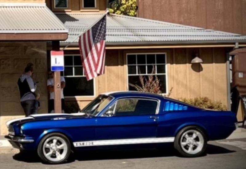 1965 Ford Mustang for sale in Michigan (ID-130209)