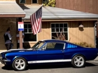1965 Ford Mustang for sale in Michigan (ID-130209)