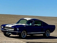 1965 Ford Mustang for sale in Michigan (ID-130209)