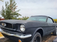 1965 Ford Mustang for sale in Michigan (ID-131165)