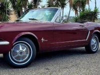 1965 Ford Mustang for sale in Michigan (ID-131314)