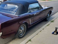 1965 Ford Mustang for sale in Michigan (ID-131314)