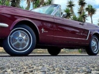 1965 Ford Mustang for sale in Michigan (ID-131314)