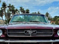 1965 Ford Mustang for sale in Michigan (ID-131314)