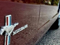 1965 Ford Mustang for sale in Michigan (ID-131314)