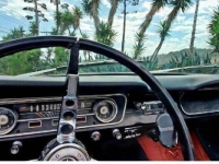 1965 Ford Mustang for sale in Michigan (ID-131314)