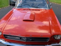 1965 Ford Mustang for sale in Riverhead, New York (ID-132936)