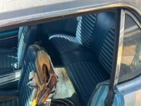 1965 Ford Mustang for sale in Michigan (ID-133252)