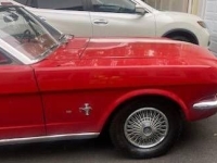 1965 Ford Mustang for sale in Michigan (ID-133823)