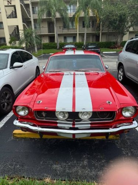 1965 Ford Mustang for sale in Michigan (ID-134376)