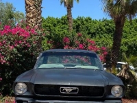 1965 Ford Mustang for sale in Michigan (ID-134410)