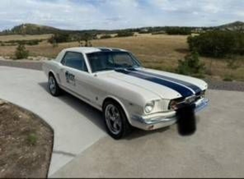 1965 Ford Mustang for sale in Michigan (ID-134833)