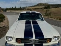 1965 Ford Mustang for sale in Michigan (ID-134833)